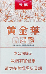 黄金叶(天叶)